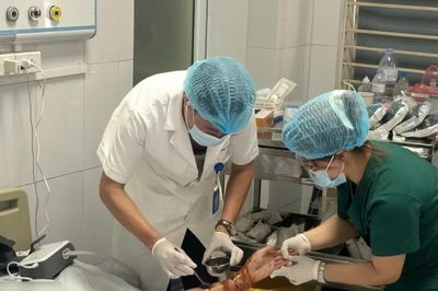 Chó nhà cắn chủ khiến cụ bà 73 tuổi gãy hở xương, cụ ông 76 tuổi lóc da 25 cm