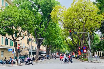 Thời tiết ngày 25/9: Bắc Bộ nắng oi, Trung Bộ và Nam Bộ có nơi mưa to
