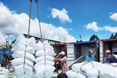 Quy định mới về kinh doanh xuất, nhập khẩu gạo