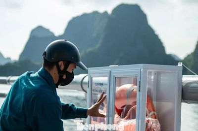 Quảng Ninh treo áo phao an toàn dọc đường bao biển