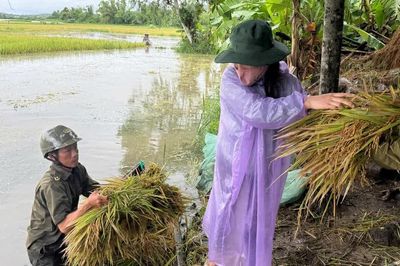 Mưa lớn kéo dài ở Đắk Lắk, sơ tán nhiều hộ dân, lúa ngập nặng
