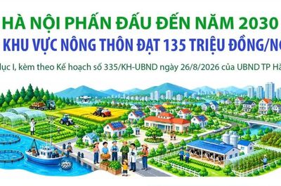 Hà Nội đặt mục tiêu đến năm 2030, thu nhập khu vực nông thôn đạt 135 triệu đồng