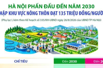 Hà Nội phấn đấu thu nhập khu vực nông thôn đạt 135 triệu đồng/người/năm