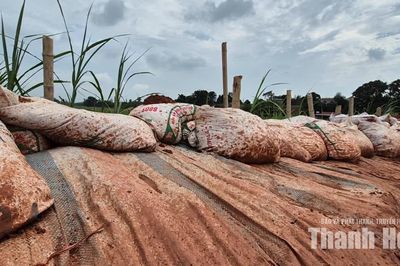 Nhiều tuyến đê bao lộ điểm yếu