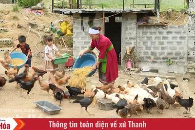 Từ điểm tựa đến sinh kế