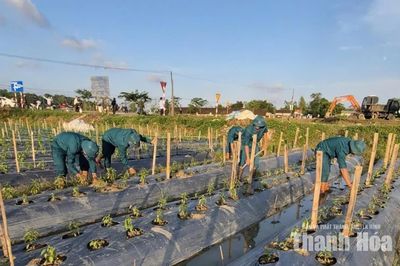 Xã Định Tân khẩn trương khôi phục sản xuất sau mưa lũ