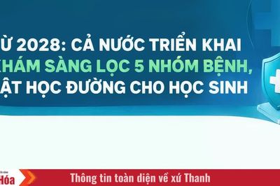 Từ 2028: Triển khai khám sàng lọc 5 nhóm bệnh, tật học đường cho học sinh