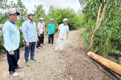 Ô Lâm ra sức bảo vệ 3.577ha đất nông nghiệp trước nguy cơ ngập úng