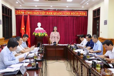 Ban Kinh tế - Ngân sách HĐND tỉnh thẩm tra dự thảo Nghị quyết trình Kỳ họp thứ Sáu