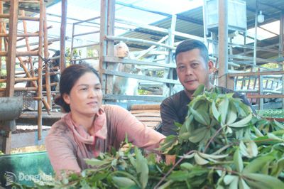 Nghề nuôi đặc sản ở Lang Minh