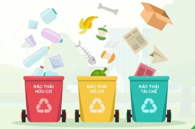 Triển khai hệ thống trực tuyến phục vụ phân loại chất thải rắn