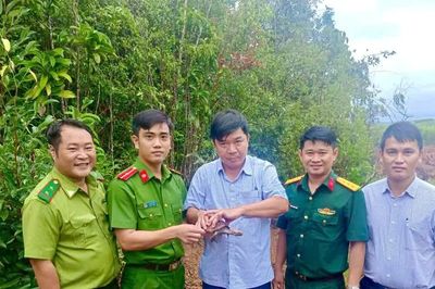 Xã Phù Mỹ Bắc thả 1 cá thể rùa Sa nhân về môi trường tự nhiên