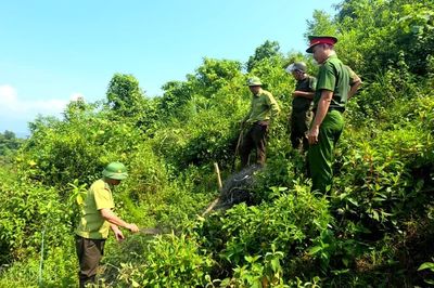 Bát Xát: Gần 7.000 m² lưới bẫy chim bị tháo dỡ trong tháng 9