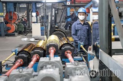 Nâng tầm kinh tế tư nhân