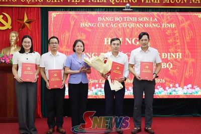 Công bố các quyết định về công tác cán bộ tại Đảng ủy Các cơ quan Đảng tỉnh