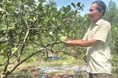 Khi thông tin trở thành nguồn lực giảm nghèo