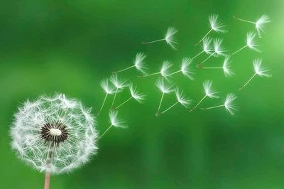 Sống tùy duyên có thụ động, tiêu cực?
