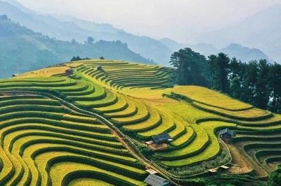 Bộ Nông nghiệp và Môi trường tổ chức hội thi “Điểm đến du lịch nông thôn Việt Nam tốt nhất”
