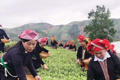 Lào Cai: Diện mạo vùng đồng bào dân tộc thiểu số đang đổi thay