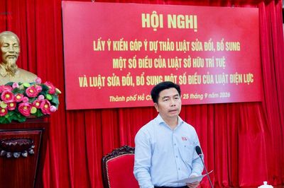 Gỡ vướng mắc về điện rác, quy hoạch phát triển điện lực