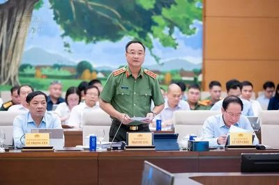 Pháp nhân thương mại là chủ thể phải chịu trách nhiệm hình sự
