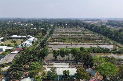 TP.HCM thu hồi khu đất 7.340 m² tại Hóc Môn do vi phạm đất đai