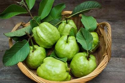 Bí quyết đơn giản chọn ổi thơm giòn, ngọt lịm, đậm vị mùa thu không nên bỏ qua