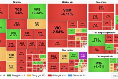 Chứng khoán 24/9: Sắc đỏ bao phủ, VN-Index đánh mất mốc 1.800 điểm