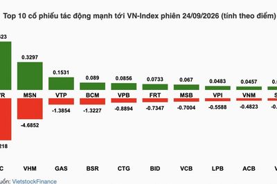 Nhận định chứng khoán 25/9: Cơ hội hồi phục sau phiên giảm sâu?