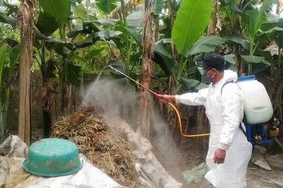 Hà Tĩnh khẩn trương kiểm soát 2 ổ dịch tả lợn châu Phi