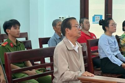 Gây ô nhiễm môi trường, Chủ tịch TNHH Phước Loan lĩnh án