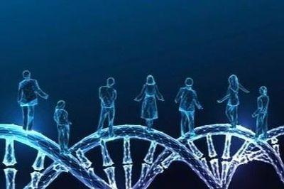 Vai trò của gene trong tiến hóa