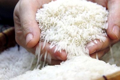 Gạo hữu cơ, gạo đặc sản được 'mở cửa' xuất khẩu thế nào từ tháng 10?