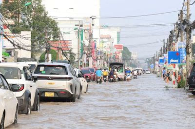 Cần Thơ: Chủ động ứng phó với triều cường cuối tháng 9 tăng cao