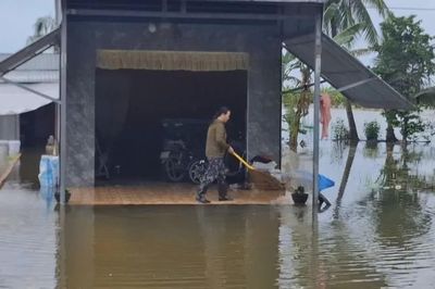 Cà Mau: Khẩn trương khắc phục hơn 6.800ha lúa hè thu bị ngập úng