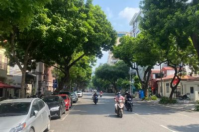 TPHCM giảm mưa những ngày tới