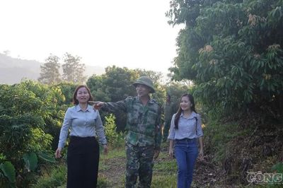 Tạo sinh kế để người trẻ vùng cao lập nghiệp trên quê hương