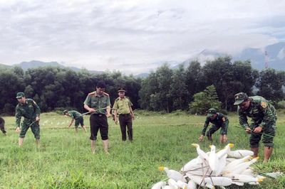 Huế tháo dỡ hàng nghìn dụng cụ bẫy chim, cò
