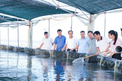 Vai trò cấp ủy trong tăng trưởng 2 con số