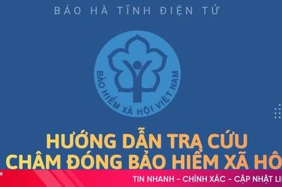 [Infographic] Hướng dẫn tra cứu chậm đóng bảo hiểm xã hội