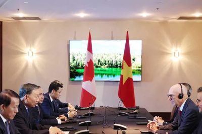 Tổng Bí thư, Chủ tịch nước Tô Lâm tiếp Hiệu trưởng Trường Đại học Concordia