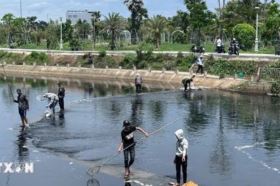 Đắk Lắk: Khuyến cáo không sử dụng cá chết hàng loạt tại hồ điều hòa Hồ Sơn