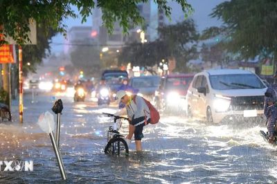 Triều cường ở Cần Thơ lên mức báo động III