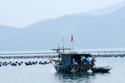Quảng Ninh: Gỡ vướng giao mặt nước, thúc đẩy nuôi biển