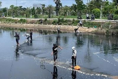 Khuyến cáo không sử dụng cá chết hàng loạt tại hồ điều hòa Hồ Sơn
