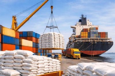 Siết điều kiện xuất khẩu, kiểm soát kế hoạch nhập khẩu gạo