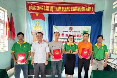 Ra mắt Chi hội nông dân nghề nghiệp trồng khoai lang Nhật thôn Hải Yên