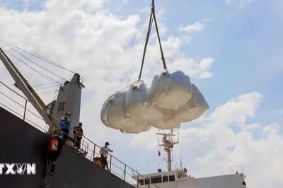 Gạo hữu cơ, gạo đồ được nới điều kiện xuất khẩu từ tháng 10