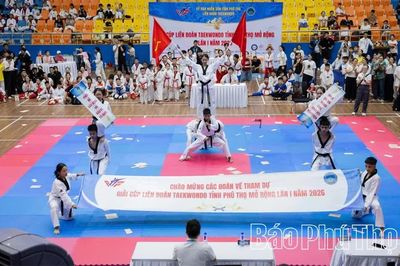 Sức hút môn thể thao Taekwondo trên quê hương Đất Tổ