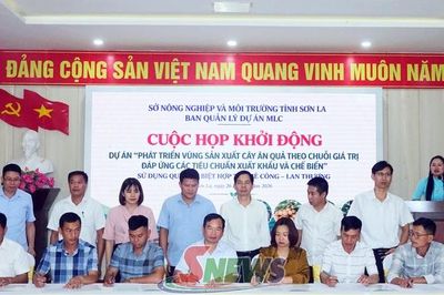 Khởi động Dự án phát triển vùng sản xuất cây ăn quả theo chuỗi giá trị